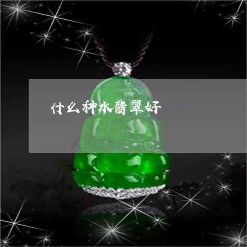 什么种水翡翠好/2023040543727 什么种水翡翠好/2023040543727