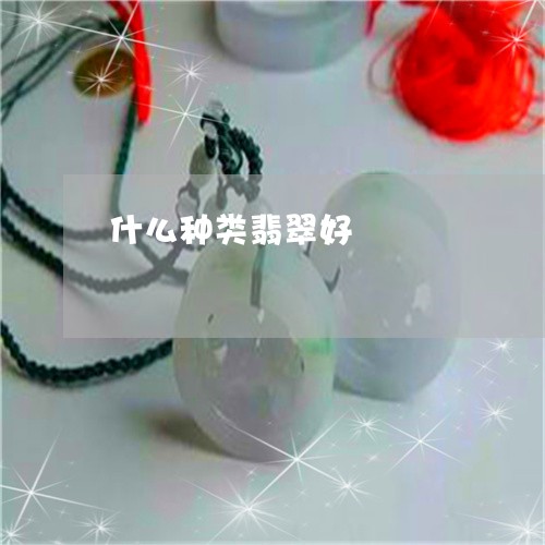 什么种类翡翠好/2023040561616