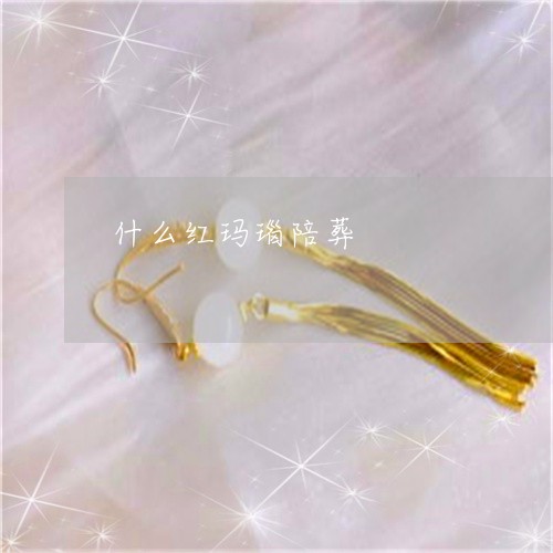 什么红玛瑙陪葬/2023040551493