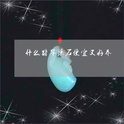 什么翡翠原石便宜又好养/2023061929380