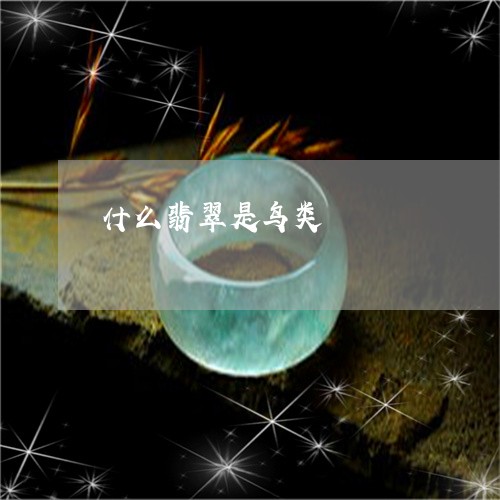什么翡翠是鸟类/2023040551829