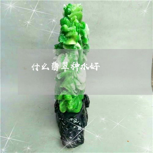 什么翡翠种水好/2023040583837