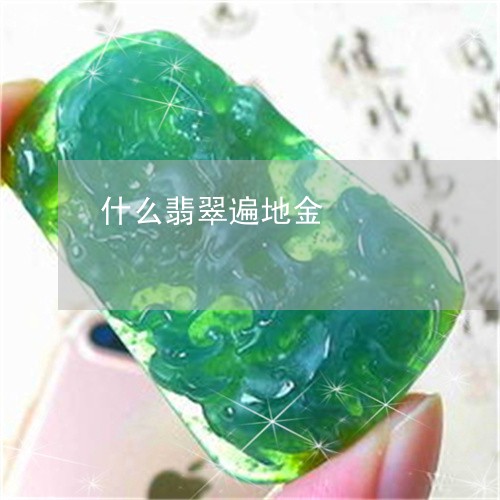 什么翡翠遍地金/2023040508260 什么翡翠遍地金/2023040508260