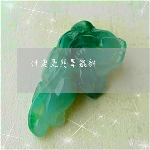 什麽是翡翠貔貅/2023040540526 什麽是翡翠貔貅/2023040540526