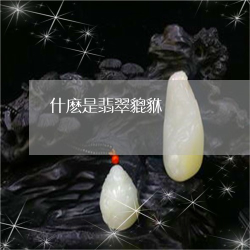 什麽是翡翠貔貅/2023040594937 什麽是翡翠貔貅/2023040594937