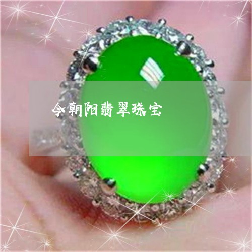 今朝阳翡翠珠宝/2023040562895 今朝阳翡翠珠宝/2023040562895