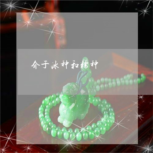 介于冰种和糯种/2023040554372 介于冰种和糯种/2023040554372