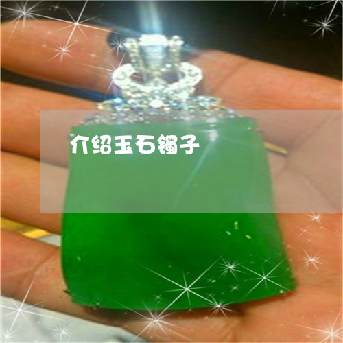 介绍玉石镯子/2023032038460 介绍玉石镯子/2023032038460