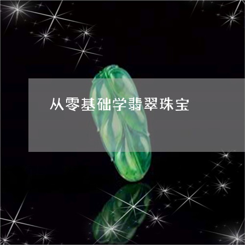 从零基础学翡翠珠宝/2023061653139