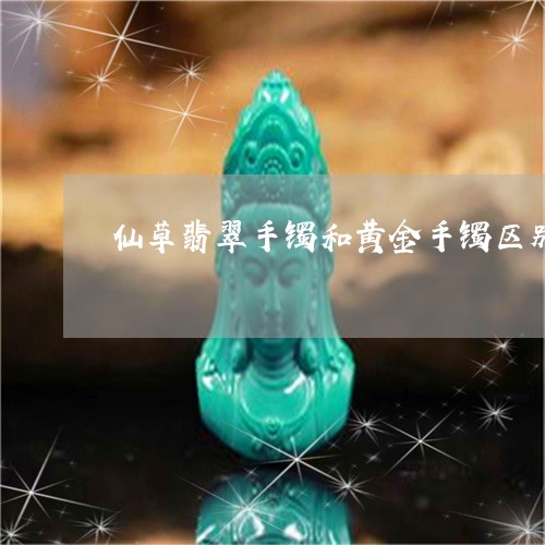 仙草翡翠手镯和黄金手镯区别/2023071238160
