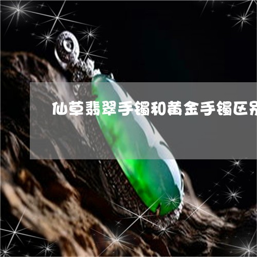 仙草翡翠手镯和黄金手镯区别/2023071294037