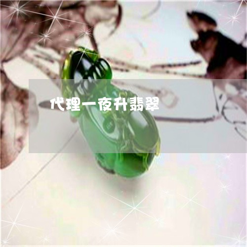 代理一夜升翡翠/2023040593728 代理一夜升翡翠/2023040593728