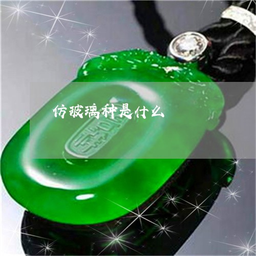 仿玻璃种是什么/2023040598138