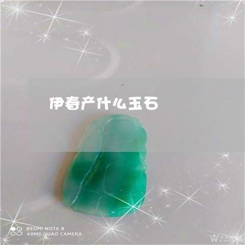伊春产什么玉石/2023040507051 伊春产什么玉石/2023040507051