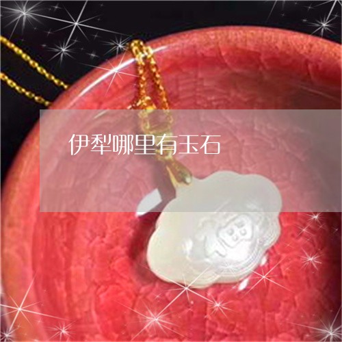伊犁哪里有玉石/2023040595169 伊犁哪里有玉石/2023040595169
