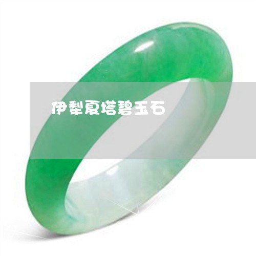 伊犁夏塔碧玉石/2023040530692 伊犁夏塔碧玉石/2023040530692