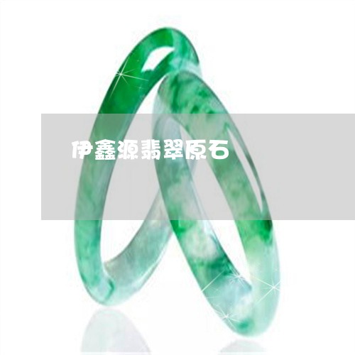 伊鑫源翡翠原石/2023040525137 伊鑫源翡翠原石/2023040525137