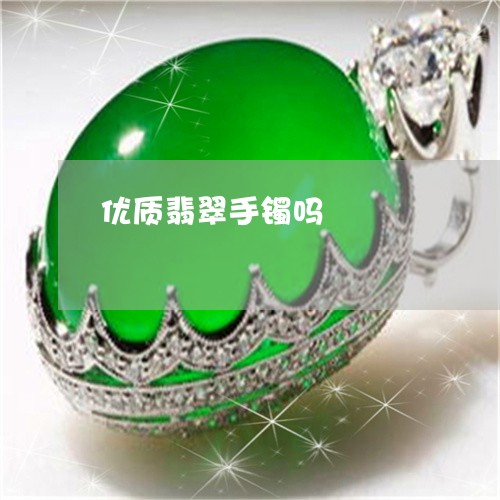 优质翡翠手镯吗/2023040538371