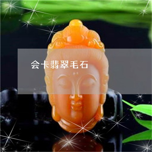 会卡翡翠毛石/2023032028259 会卡翡翠毛石/2023032028259