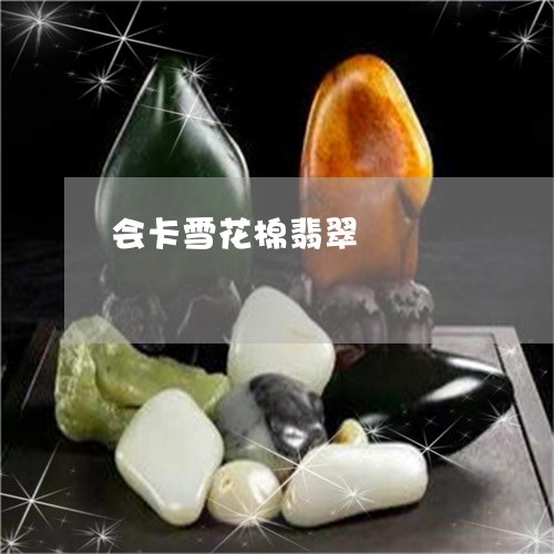 会卡雪花棉翡翠/2023040528260 会卡雪花棉翡翠/2023040528260