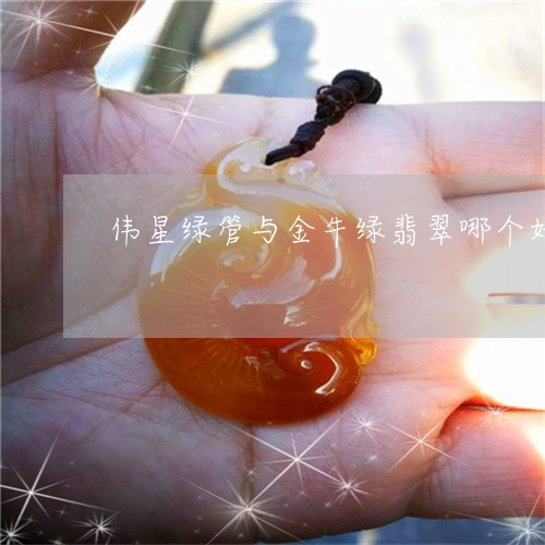 伟星绿管与金牛绿翡翠哪个好/2023071279703