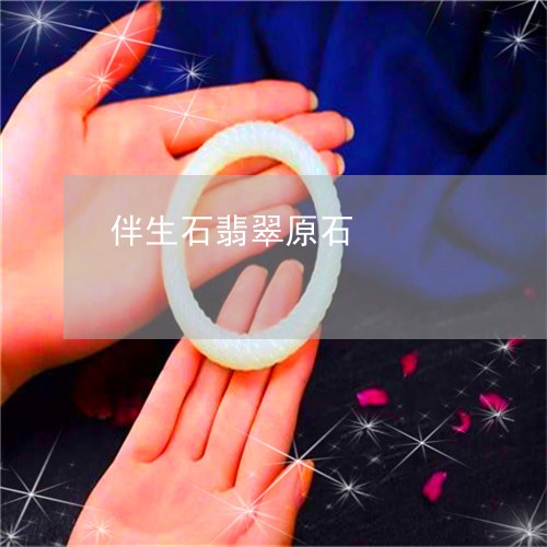 伴生石翡翠原石/2023040584826 伴生石翡翠原石/2023040584826