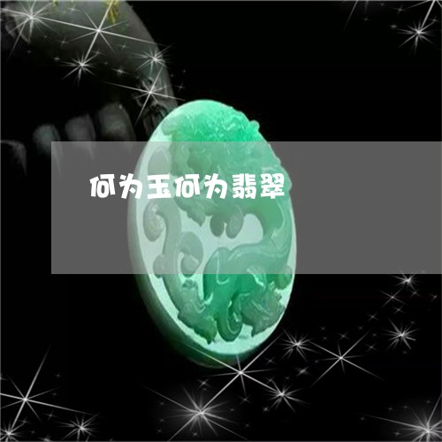 何为玉何为翡翠/2023040562804 何为玉何为翡翠/2023040562804