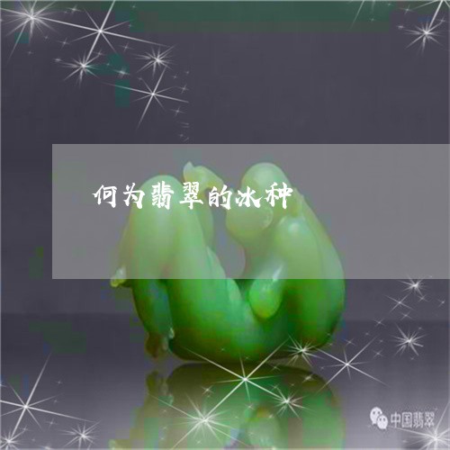 何为翡翠的冰种/2023040530292