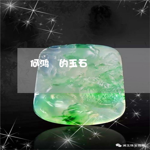 何鸿燊的玉石/2023032062827 何鸿燊的玉石/2023032062827