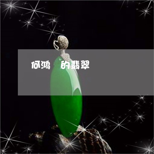 何鸿燊的翡翠/2023032025157 何鸿燊的翡翠/2023032025157
