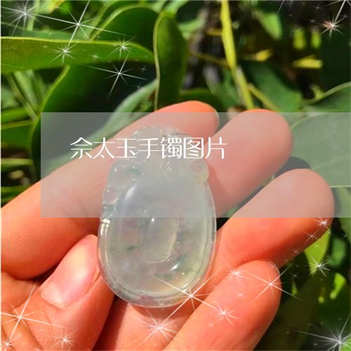 佘太玉手镯图片/2023040540160
