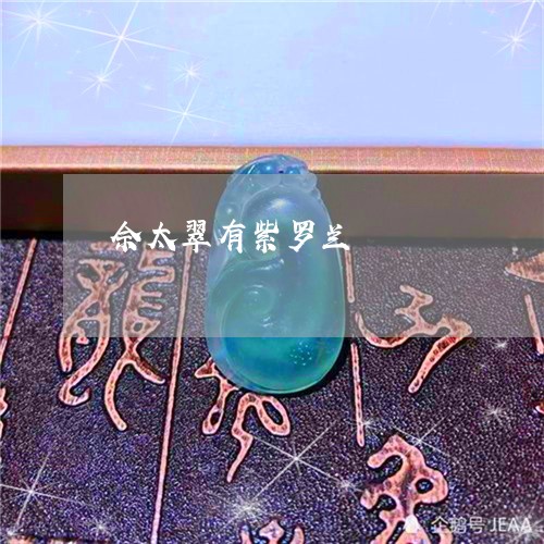 佘太翠有紫罗兰/2023040540372 佘太翠有紫罗兰/2023040540372