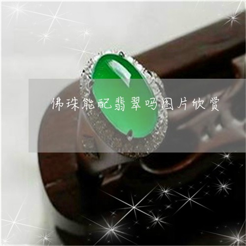 佛珠能配翡翠吗图片欣赏/2023061827267