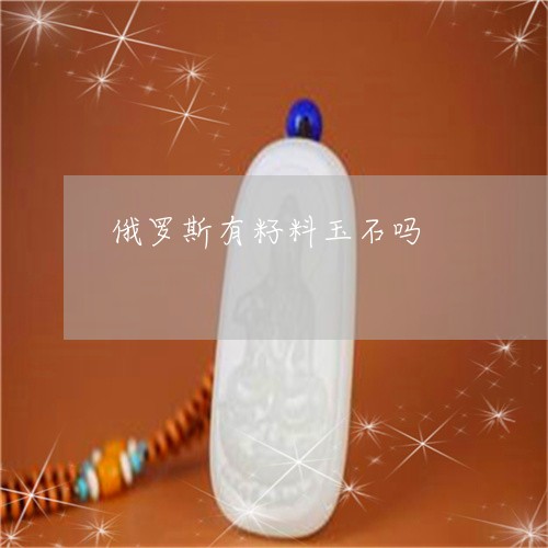 俄罗斯有籽料玉石吗/2023042315826 俄罗斯有籽料玉石吗/2023042315826