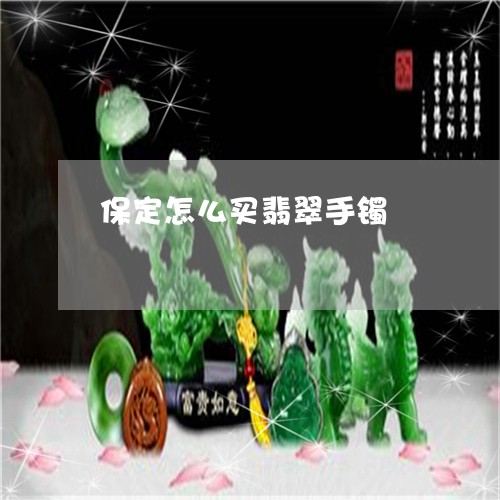 保定怎么买翡翠手镯/2023042384715