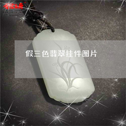假三色翡翠挂件图片/2023042337260 假三色翡翠挂件图片/2023042337260