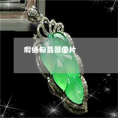 假缅甸翡翠图片/2023040595046 假缅甸翡翠图片/2023040595046