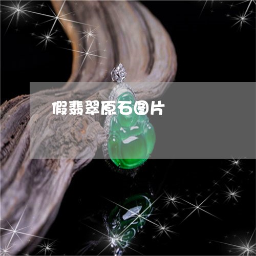 假翡翠原石图片/2023040504916