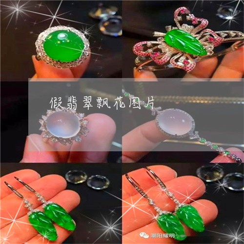 假翡翠飘花图片/2023040584826 假翡翠飘花图片/2023040584826