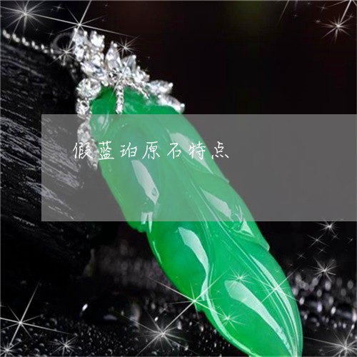 假蓝珀原石特点/2023040553825 假蓝珀原石特点/2023040553825