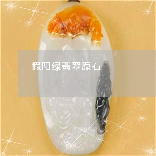 假阳绿翡翠原石/2023040562717