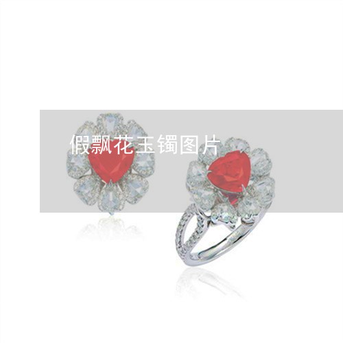 假飘花玉镯图片/2023040554514