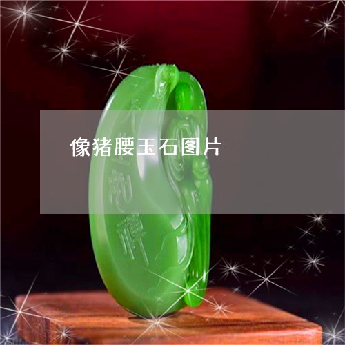 像猪腰玉石图片/2023040549603