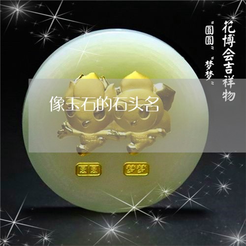 像玉石的石头名/2023040506057 像玉石的石头名/2023040506057