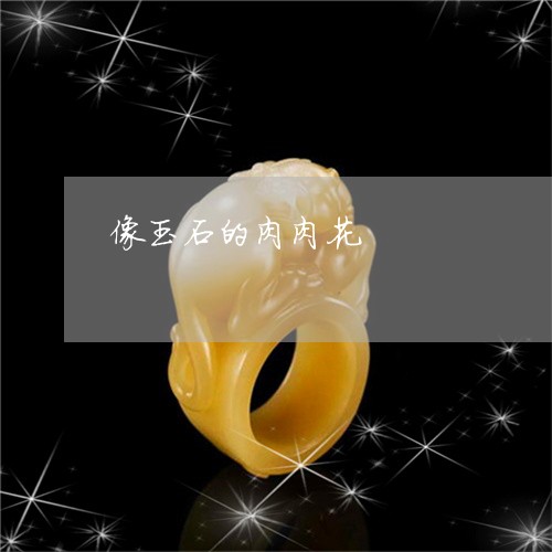 像玉石的肉肉花/2023040519361 像玉石的肉肉花/2023040519361