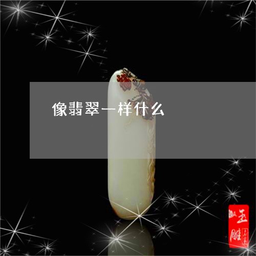 像翡翠一样什么/2023040506834