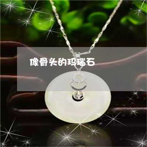 像骨头的玛瑙石/2023040518270 像骨头的玛瑙石/2023040518270