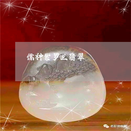儒种紫罗兰翡翠/2023040596048 儒种紫罗兰翡翠/2023040596048