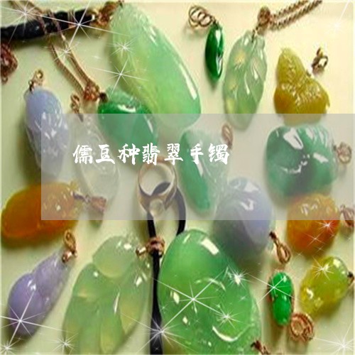 儒豆种翡翠手镯/2023040507267 儒豆种翡翠手镯/2023040507267