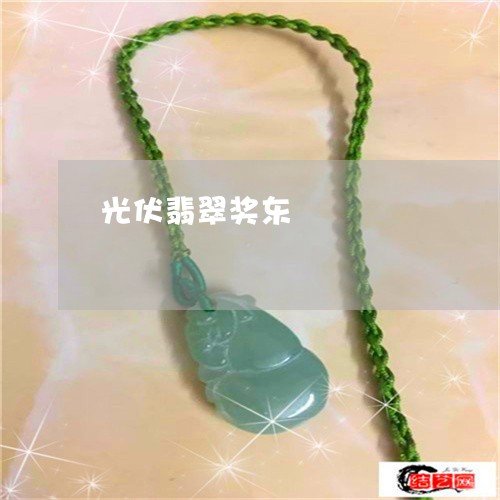 光伏翡翠奖东鋆/2023040574835 光伏翡翠奖东鋆/2023040574835